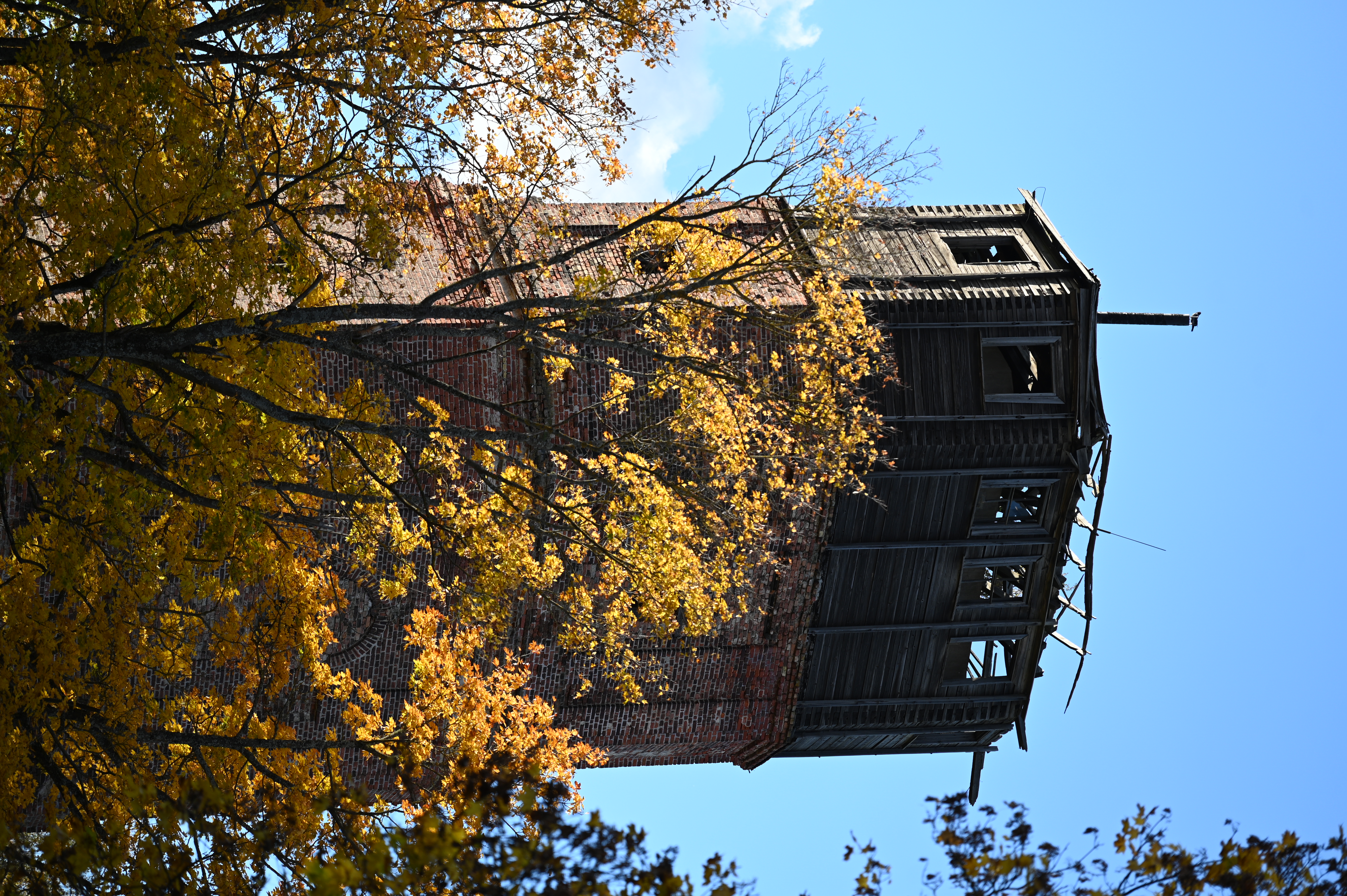 2025/10/18 - walk/DSC_0118.JPG